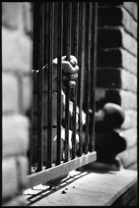 H. Timmermans black and white photos 102